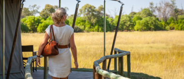 Botswana Machaba Camp Sightings September 2021 Machaba Camp