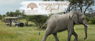 Machaba Botswana Super Stay Special Banner