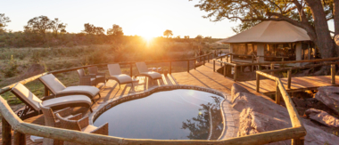 Machaba Zimbabwe Deteema Springs Sighting February 2020 Cta Deteema