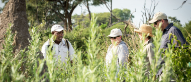 Botswana Machaba Walking Safaris