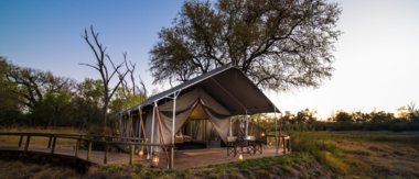 Machaba Guide Feature Machaba Camp Cta