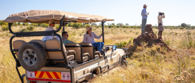 Machaba Safaris   Zimbabwe   Hwange National Park   Deteema Springs   Wildlife Sightings   June 2022   CTA  Game Drive