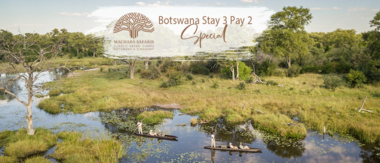 Machaba Bostwana Stay 3 Pay 3 Special Cta