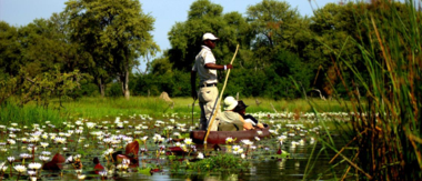 Machaba Botswana Okavango Delta Machaba Camp Mokoro Sightings April 2017