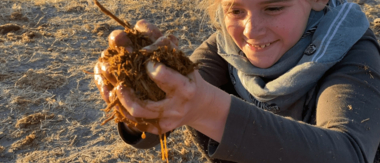Machaba Botswana Okavango Delta Machaba Camp July Sightings Cta Nala Dung Uses