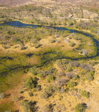 Machaba Gomoti Plains Camp Wildlife Sightings December 2025 Okavango Delta River System