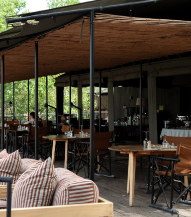 Machaba Kiri Camp Wildlife Sightings Decemberr 2025 Kiri Camp Common Area