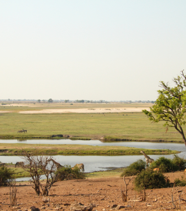 Machaba Safaris Botswana Chobe Ngoma Safari Lodge August Cta Botswana