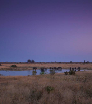 Machaba Botswana Hwange Deteema Cta Hwange May Sightings 2020 2