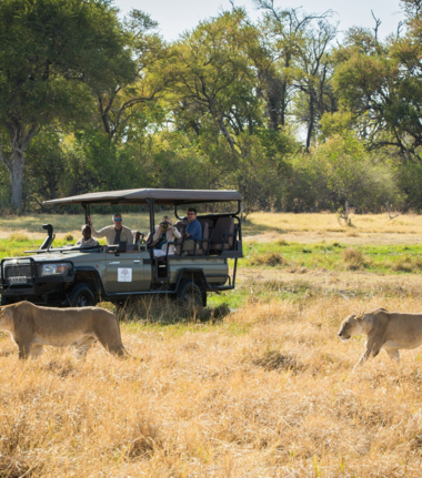 Botswana Machaba Safaris Experience