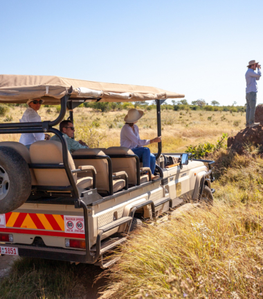 Machaba Deteema Springs Camp Wildlife Sightings October 2025 Hwange Safari Experience
