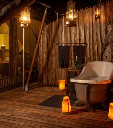 Botswana   Okavango Delta   Machaba Camp   Wildlife Stories   Feb 2022   Little Machaba