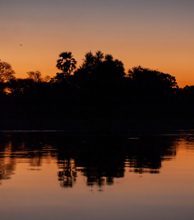 Botswana Okavango Delta Gomoti Plains Camp October Sightings 2020 Cta