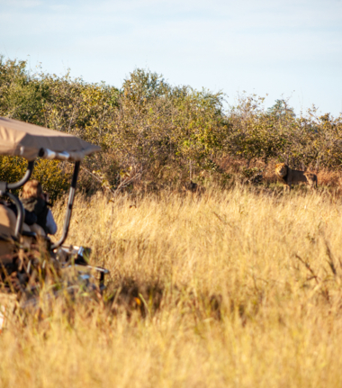 Zimbabawe Mana Pools Ingwe Pan Safari Destination Cta