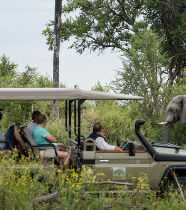 Botswana   Okavango Delta   Gomoti Camp   Oct 2021 Wildlife Sightings   CTA Game Drive