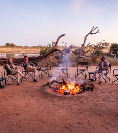 Machaba Verneys Wildlife Report May Cta