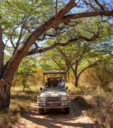 Machaba Verneys Camp Wildlife Sightings December 2025 On Safari With Machaba