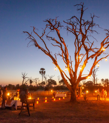 Machaba Camp   Botswana   Wildlife Stories   May 2022   CTA   Classic Botswana   Gomoti Plains