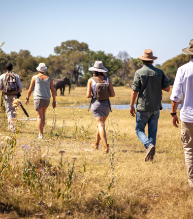 Machaba Gomoti Experience Guided Walk Mvr 006