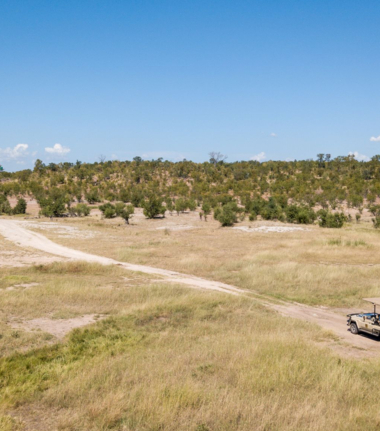 Zimbabwe Hwange National Park Deteema Springs Wildlife Sightings September 2020 Cta