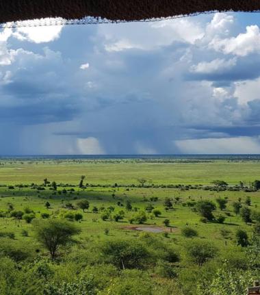 Machaba Botswana Chobe Ngoma Sighting May 2020 Body Cta Chobe