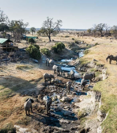 Machaba Safaris Zimbabwe Hwange Deteema Springs Elephants River