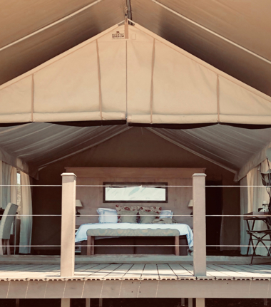 Zimbabwe Mana Pools Ingwe Pan Sightings July 2021  Room