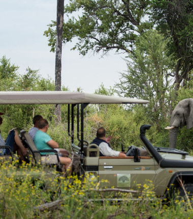 Machaba Safaris   Botswana   Gomoti Plains   Game Drive