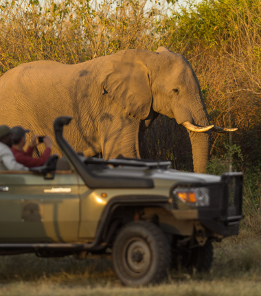 Botswana Gomoti Plains Game Drive