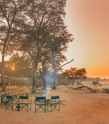 Machaba Safaris Zimbabwe Verneys Camp Wildlife Stories July 2022 CTA Verneys Camp