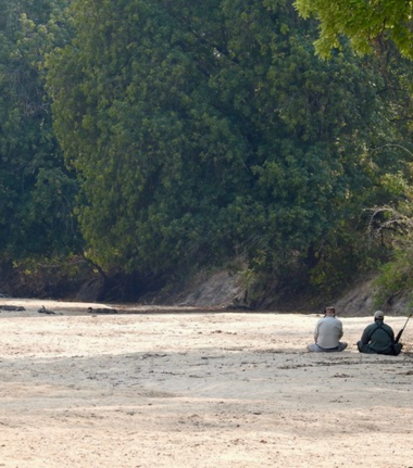 Zimbabwe Mana Pools National Park Ingwe Pan Cta