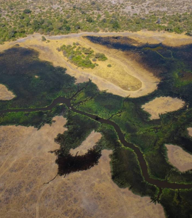 Machaba Botswana Okavango Delta Gomoti Plains Sighting June 2020 Delta