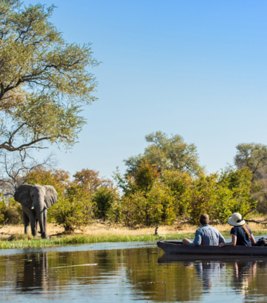 Botswana   Okavango Delta   Machaba Camp   Wildlife Stories   Feb 2022   Machaba Camp Mokoro