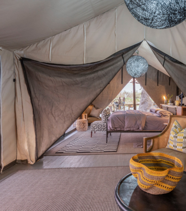 Machaba Safaris   Botswana Safaris   Gomoti Plains   Willdife Stories   September 2022   CTA   Suites At Gomoti Plains