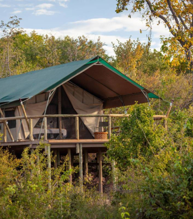 Machaba Zimbabwe Hwange Deteema August Sightings 2020 Cta Deteema