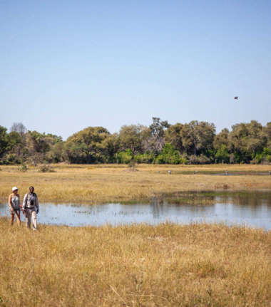 Machaba Botswana Okavango Delta Gomoti Plains Leopard Sightings July 2020 Cta Delta