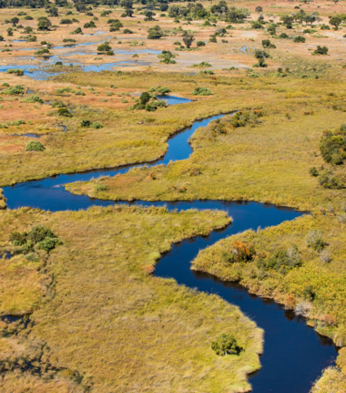 Machaba Botswana Okavango Delta Monachira Camp Wildlife Sightings November 2025 Landscape