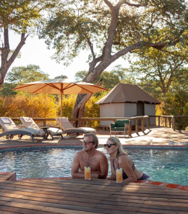 Machaba Verneys Camp Wildlife Sightings October 2025 Vernays Camp Pool Area