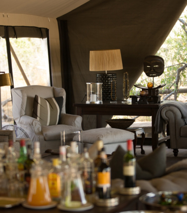 Machaba Camp Wildlife Sightings October 2025 Machaba Camp Common Area