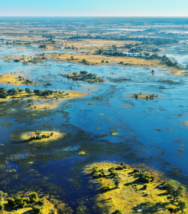 Machaba Monachira Camp Wildlife Sightings Decemberr 2025 Okavango Delta Flood Plain