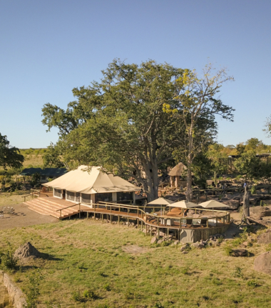 Machaba Safaris   Zimbabwe   Hwange National Park   Deteema Springs   Wildlife Sightings   June 2022   CTA   Deteema Springs LOdge