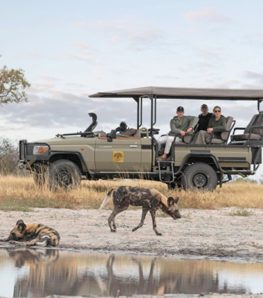 Botswana Kiri Camp Game Drive