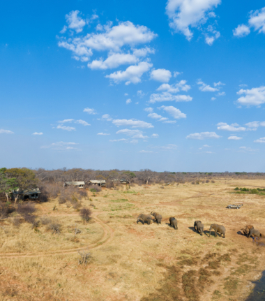Machaba Safaris Zimbabwe Verneys Camp Wildlife Stories July 2022 CTA Hwange National Park