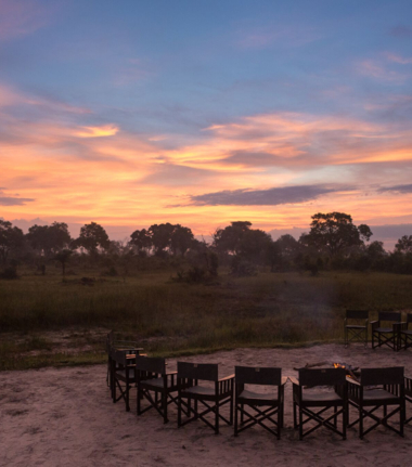 Cta Gomoti Plains Wildlife Report March