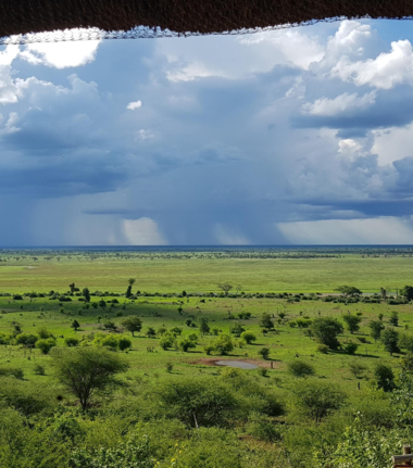 Machaba Botswana Chobe Ngoma Sighting July 2020 Cta