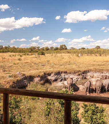 Zimbabwe Hwange Deteema Springs Sightings June 2021 Elephant Herd