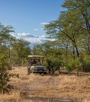 Machaba Mana River Camp Wildlife Sightings October 2025 Game Drive In Mana Pools