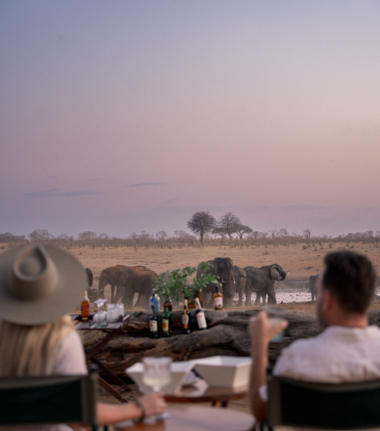 Machaba Verneys Camp Wildlife Stories Nov 2025 Safari Experience