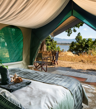 Machaba Mana River Camp Wildlife Sightings October 2025 Mana River Camp Tent