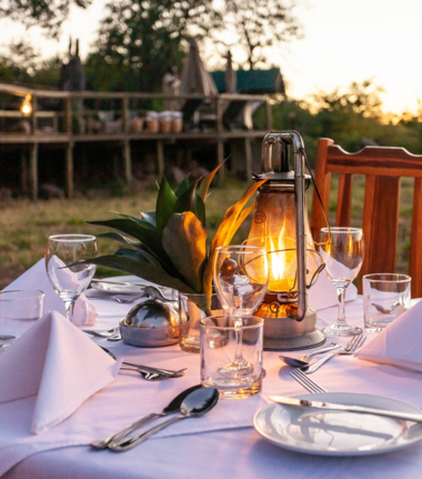 Machaba Deteema Springs Camp Wildlife Sightings December 2025 Dinner Outside